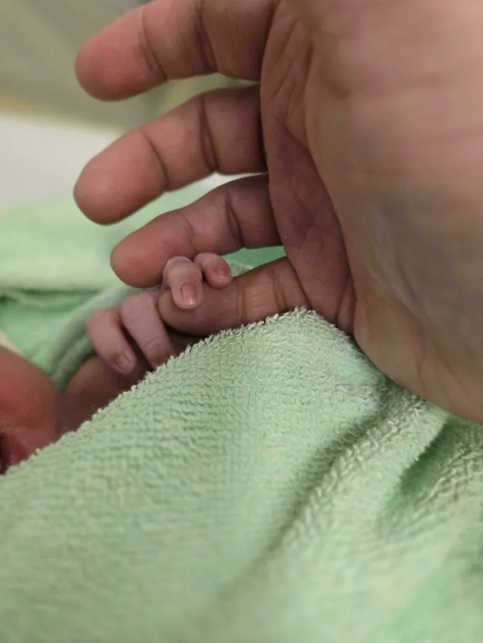Adult hand gently holding a tiny newborn hand wrapped in a soft green towel, a heartwarming photo.