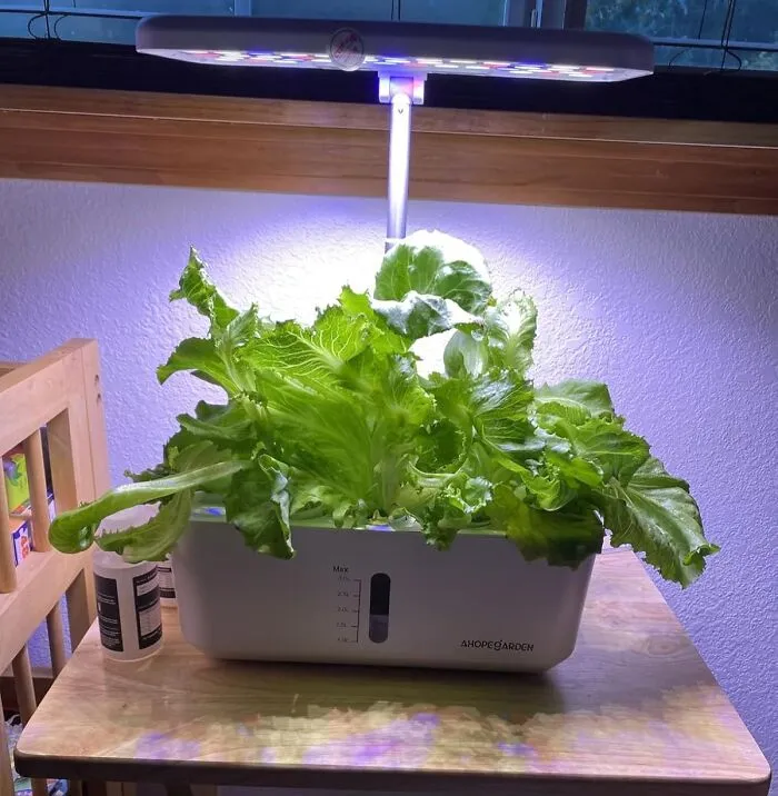 A <a Style="Display:inline;" Href="Https://Www.amazon.com/Indoor-Garden-Hydroponics-Growing-System/Dp/B0c7glp26y?ie=utf8&th=1&linkcode=ll1&tag=bpalpaca-20&linkid=b0bfa77fd863a29b939e68089f4352e4&language=en_us&ref_=as_li_ss_tl" Target="_blank">   <span Style="Font: Inherit; Color: #d74b1f;"> Hydroponics Growing System </Span>  Will Finally Allow Her To Grow Her Own Herbs And Vegetables In A Way That Is Both Incredibly Futuristic And A Little Bit "I'm-Better-Than-You"