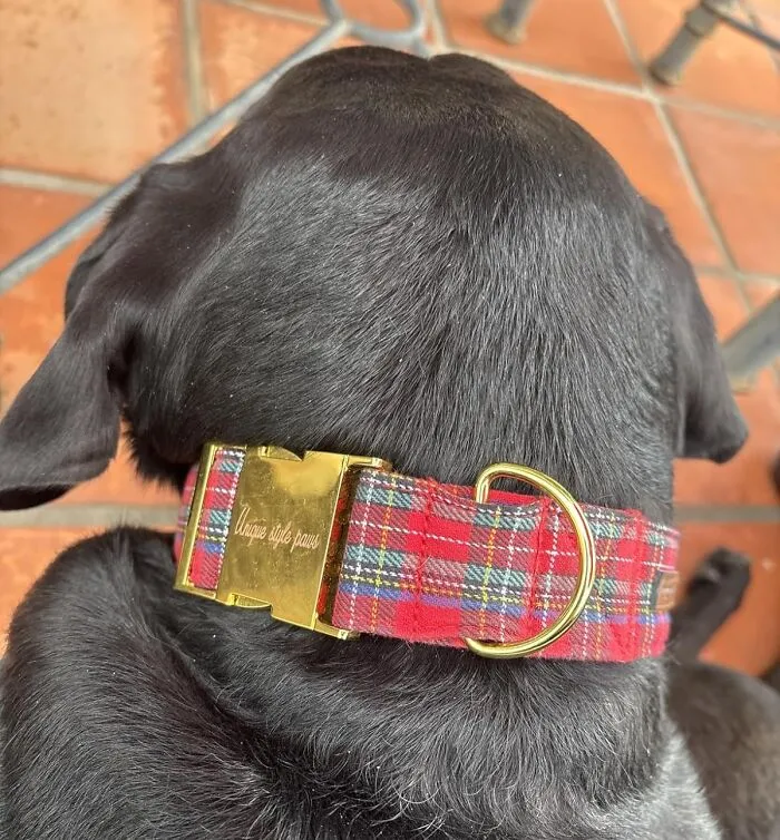 A <a Style="Display:inline;" Href="Https://Www.amazon.com/Unique-Style-Paws-Scottish-Christmas/Dp/B0fc65l3s4?ie=utf8&th=1&linkcode=ll1&tag=bpcrow-20&linkid=e65c7a84618424c4150d87ab37c6f440&language=en_us&ref_=as_li_ss_tl" Target="_blank">   <span Style="Font: Inherit; Color: #d74b1f;"> Festive Plaid Collar </Span> Will Make Your Pet Look Less Like A Freeloader Who Lives In Your House And More Like A Distinguished, Holiday-Ready Member Of The Family Who Is Just Waiting For Their Sherry And A Nice, Long Nap