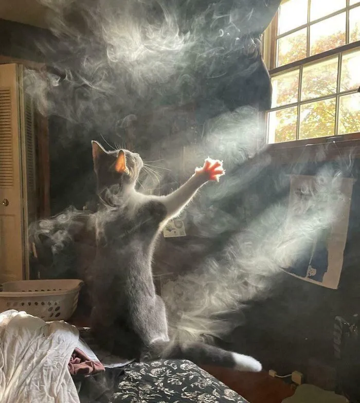 Summoning Demons