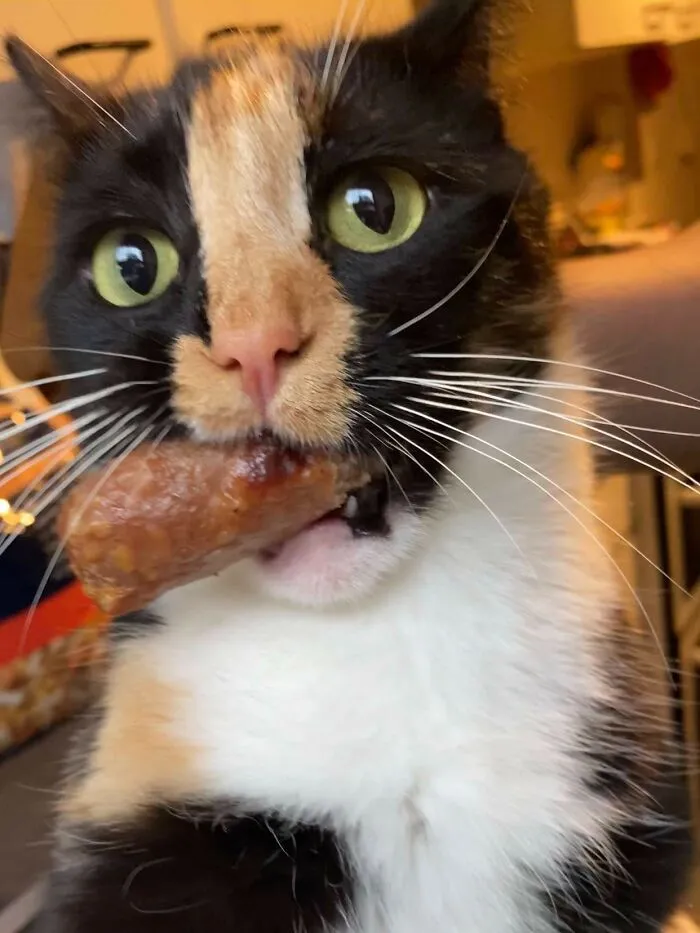 My Sausage Thief