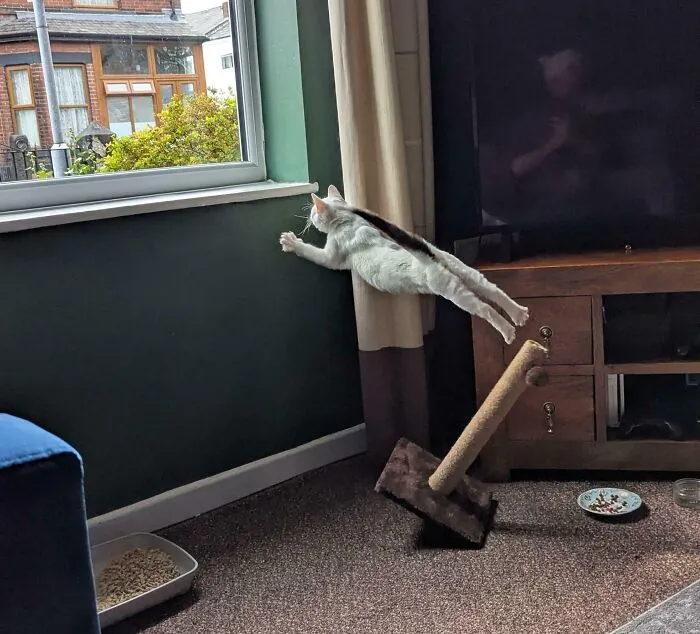 Watson's First Flight Attempt