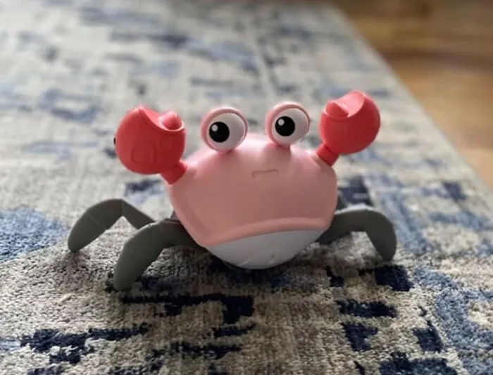 The Deeply Frustrating Experience Of Tummy Time Can Now Be A Little More Bearable With The Help Of A <a Style="Display:inline;" Href="Https://Www.amazon.com/Baby-Girl-Toys-Tummy-Time/Dp/B0bn8cbtnb?ie=utf8&th=1&linkcode=ll1&tag=bpcrocodile-20&linkid=46b5a7ad083909e426566212b336ced6&language=en_us&ref_=as_li_ss_tl" Target="_blank">   <span Style="Font: Inherit; Color: #d74b1f;"> Tummy Time Crab </Span> Who Is Also, Probably, Having A Terrible Time