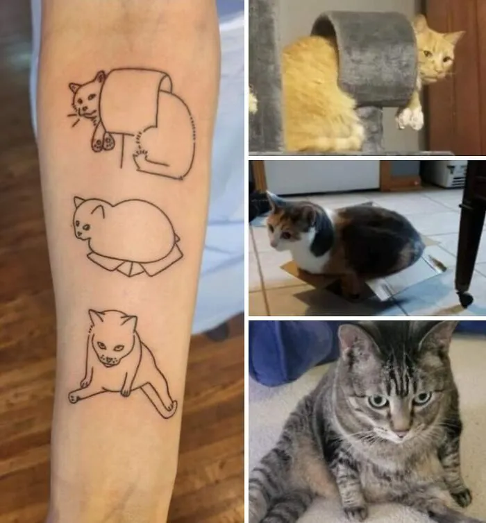 I Got Tattoo Of My Dumb Cats And I Love It