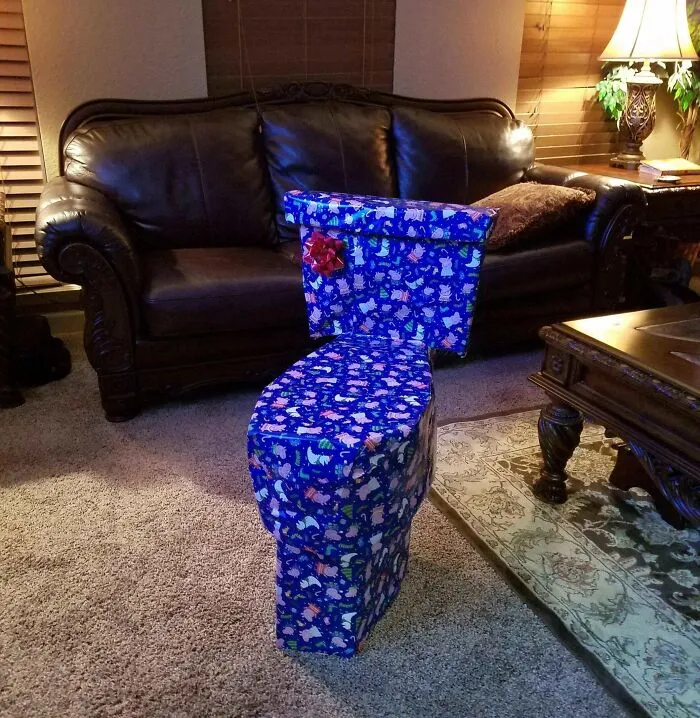 Every Year I Try To Disguise My Sister's Christmas Present. This Year I Think I Went A Little Too Far