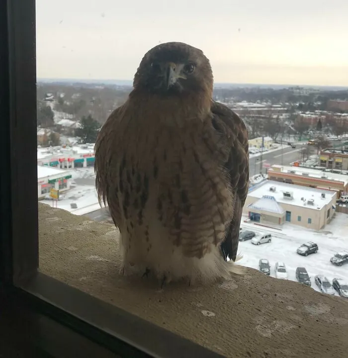 I Work On The 10th Floor Of An Office Tower. I Have A Friend Who Stops By Daily