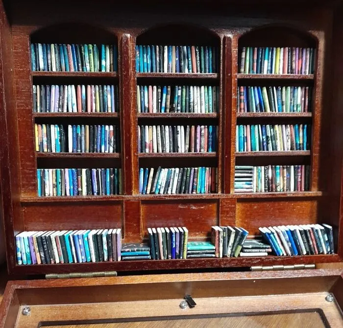  Organizing The Miniature Volumes Inside The <a Style="Display:inline;" Href="​​https://Www.amazon.com/Zvcaq-Bookshelf-Miniature-Ornaments-Stress-Relieving/Dp/B0dj2tj29w?ie=utf8&linkcode=ll1&tag=bpcoyote-20&linkid=93b34beba949c00649d86fbf3c764cba&language=en_us&ref_=as_li_ss_tl" Target="_blank">   <span Style="Font: Inherit; Color: #d74b1f;"> Anxiety Bookshelf </Span> Is Significantly Cheaper Than A Therapy Session And Requires Way Less Talking About Your Feelings