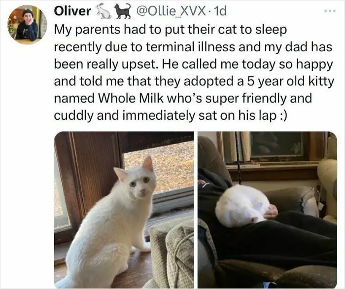 If You Are Having A Bad Day, These 67 Wholesome Memes Might Be Exactly What You Need (New Pics)