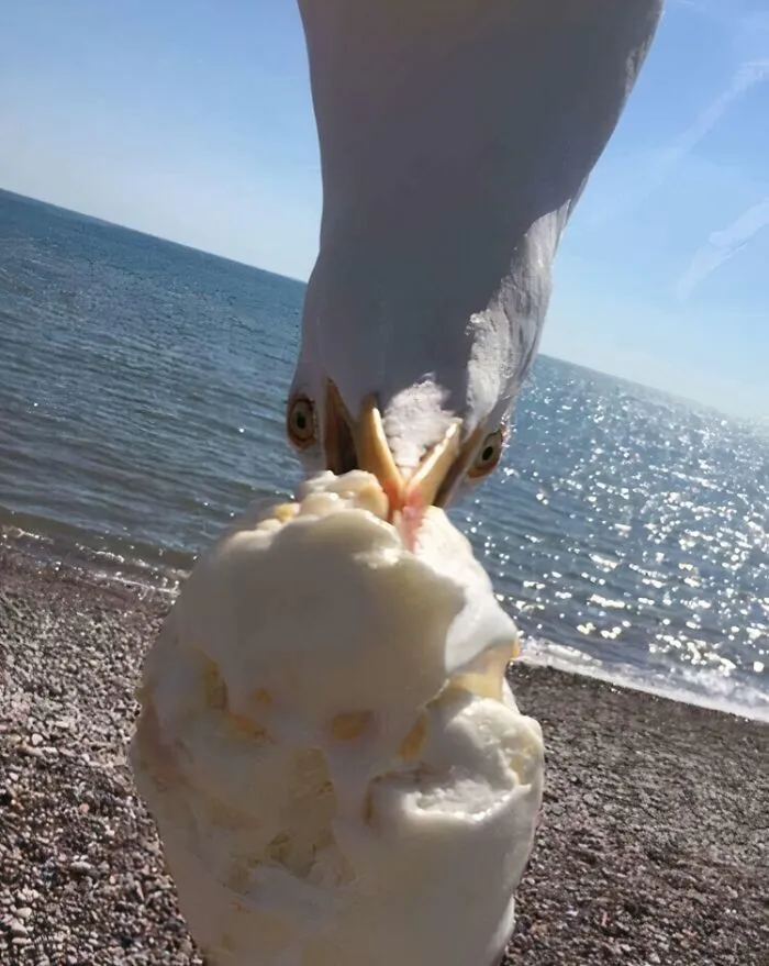 Just A Pic That My Friend Took Down At The Beach The Other Day