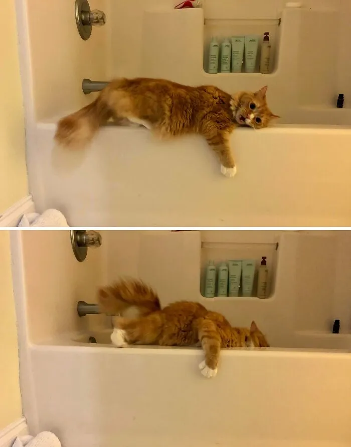 Pictures Taken Moments Before Disaster