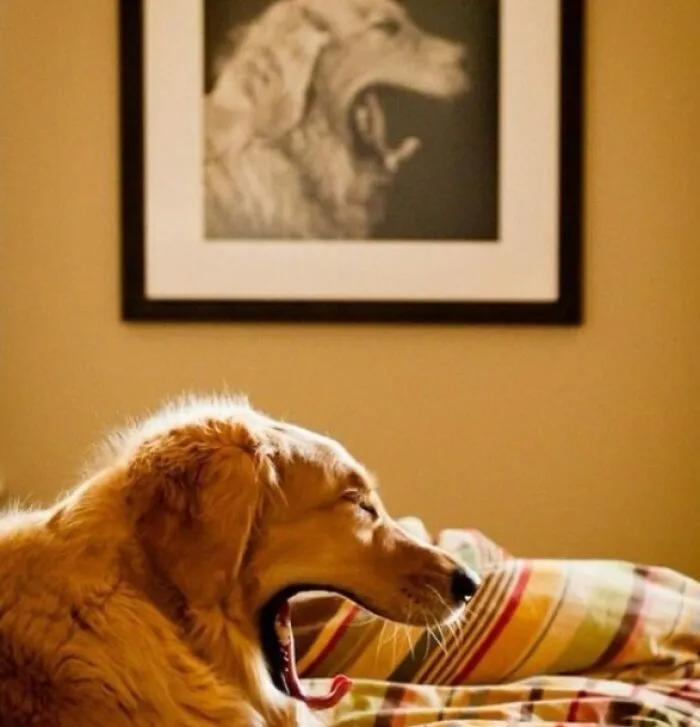 My Perfect Timed Picture