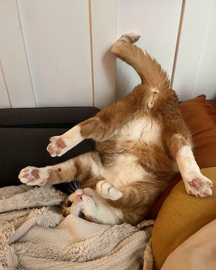 I’d Like To Point Out That He Was Like This Long Enough For Me To Grab My Phone And Snap A Picture