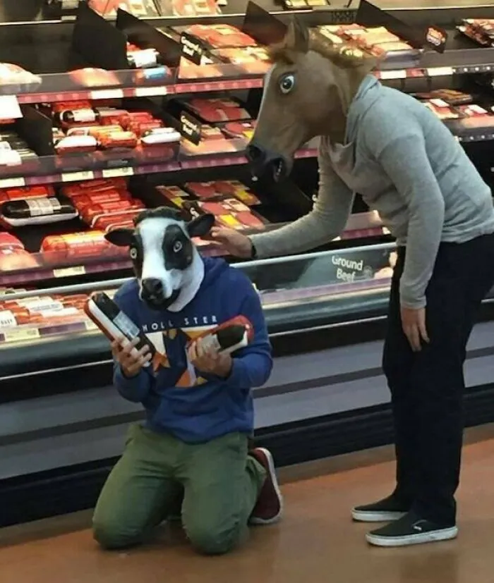 Te dije que no se podía confiar en ellos