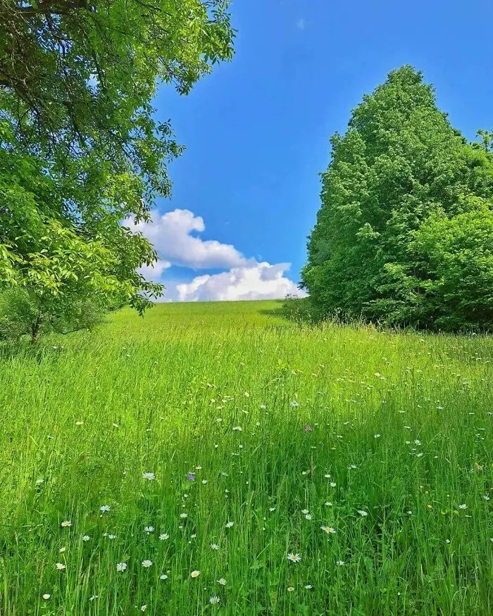 A Quiet Communion With The Hills And Open Sky