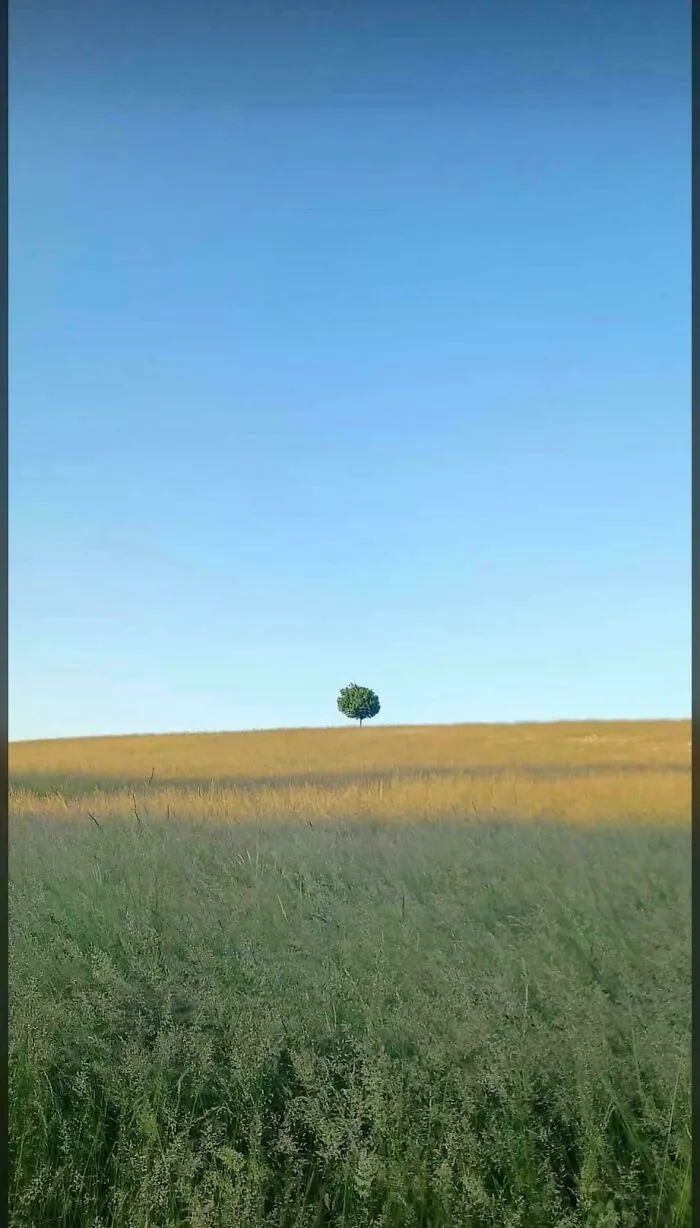Guys My Grandma Took This Photo So Y’all Also Think It Look Weird?