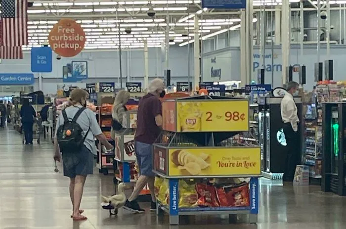 Ohio Walmart Be Quackin