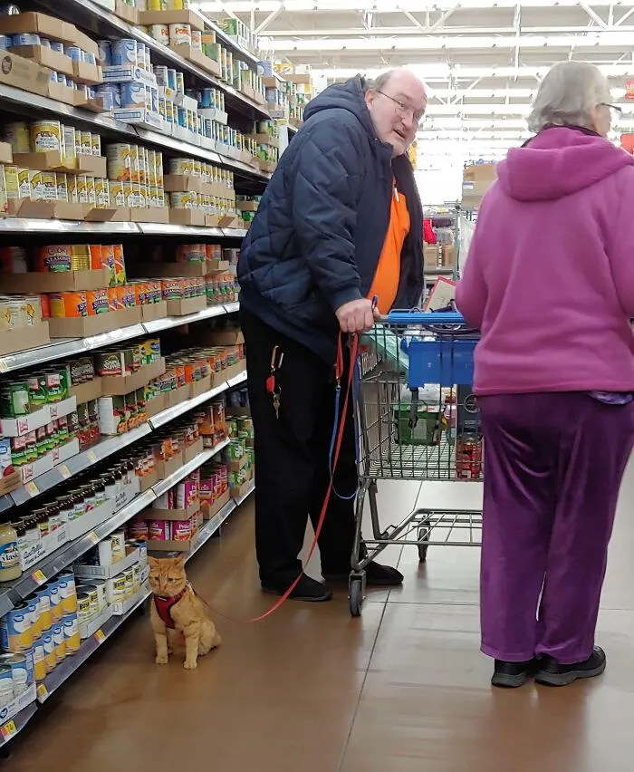 Service Cat??