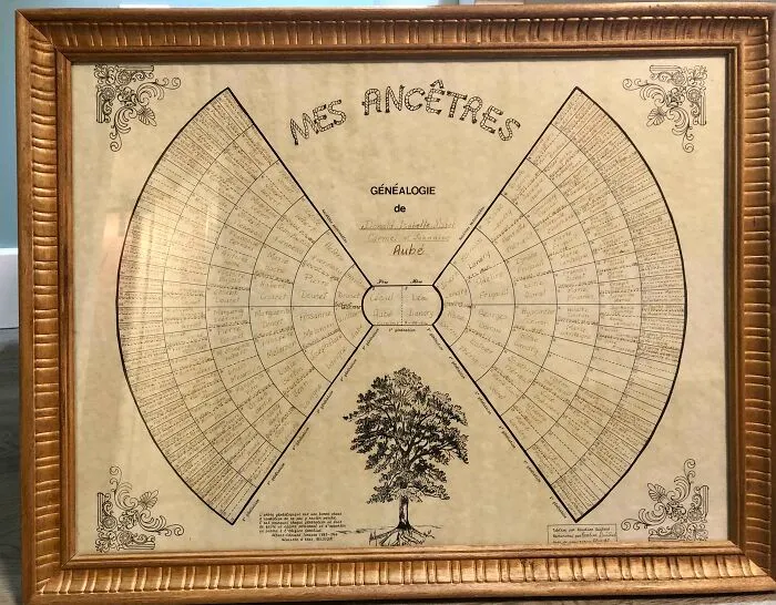 I Was Gifted My Maternal Grandmother’s Nearly Complete 8th Generation Family Tree