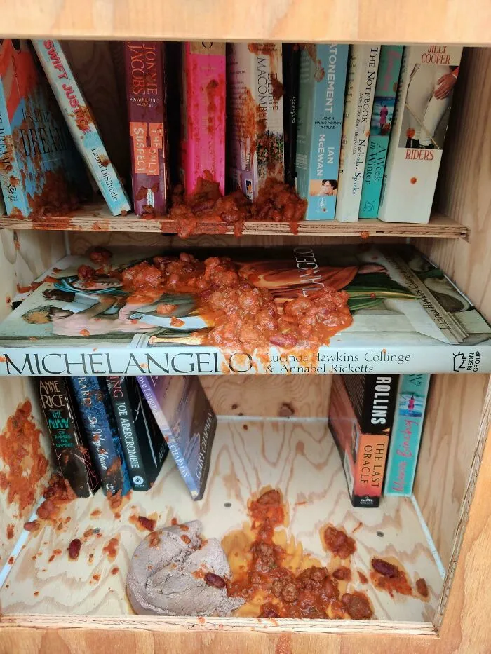 Un vecino construyó una biblioteca comunitaria. Anoche alguien tiró chile y comida para gatos dentro.
