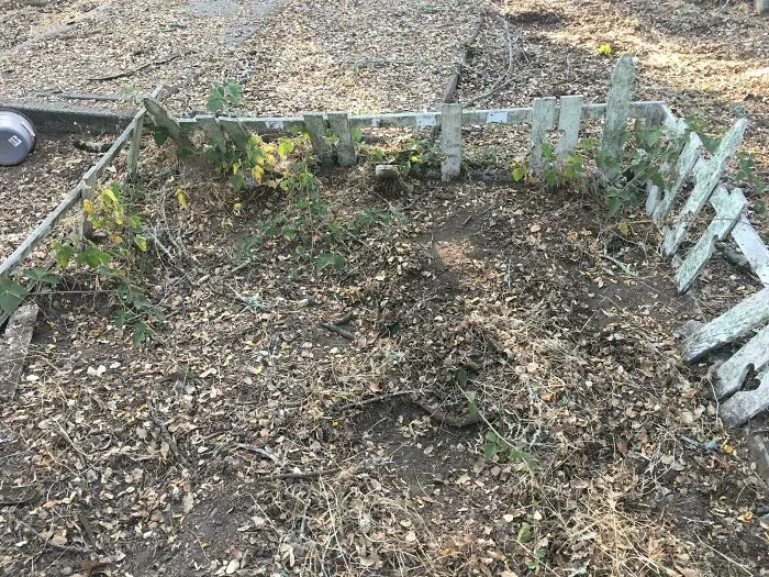 Alguien robó las lápidas de mi hermano y mi hermana para quitar el cobre.