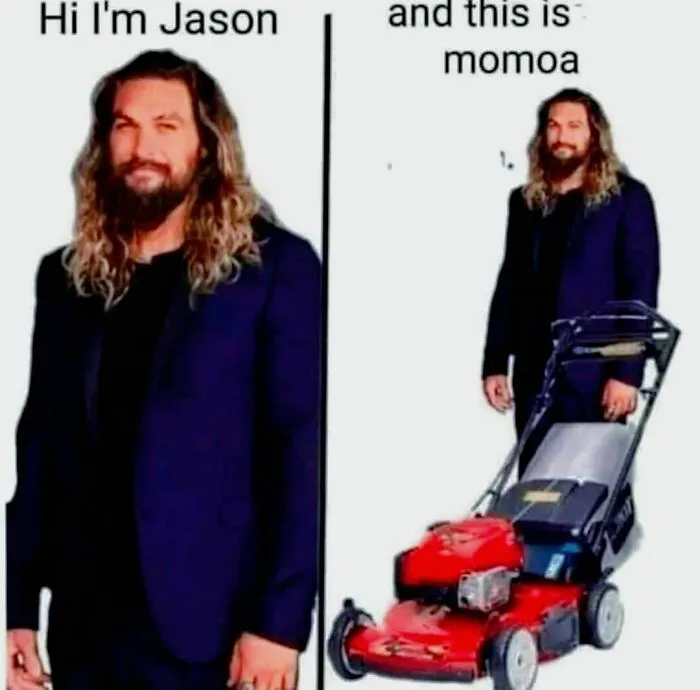 79 Funny Random Memes That Are Somehow Exactly What You Needed Today