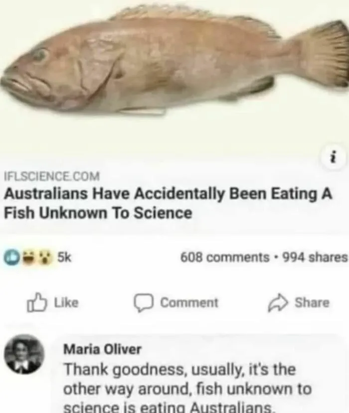 79 Funny Random Memes That Are Somehow Exactly What You Needed Today