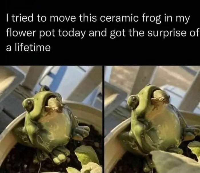 79 Funny Random Memes That Are Somehow Exactly What You Needed Today