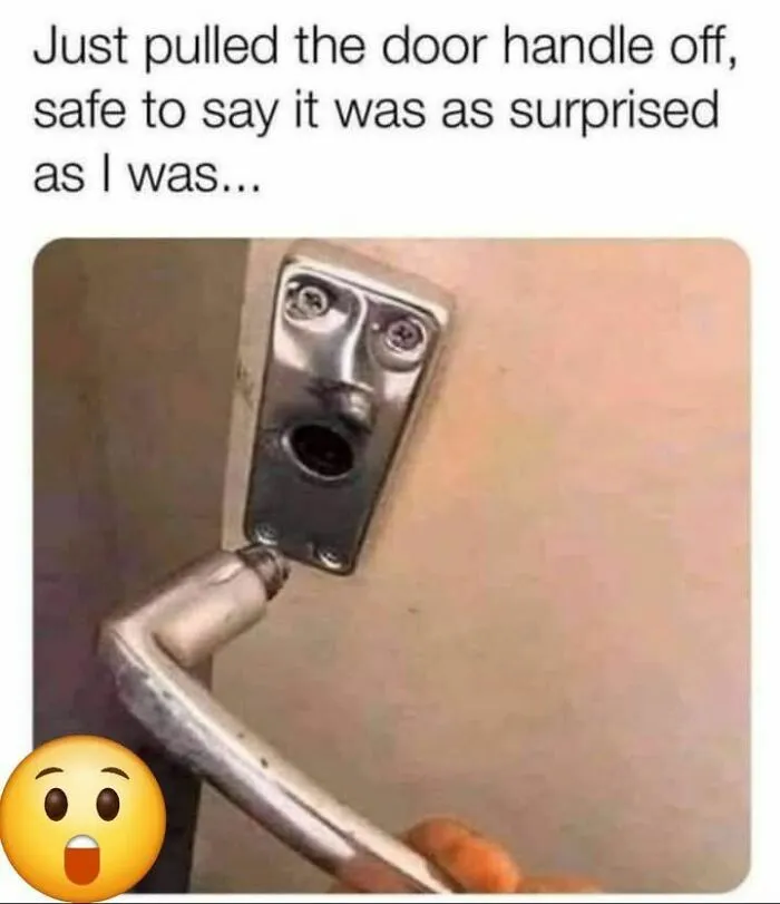 79 Funny Random Memes That Are Somehow Exactly What You Needed Today