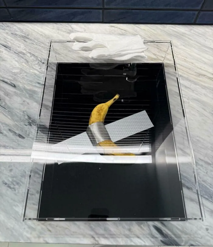 A banana duct-taped to a black board displayed as one of the most bizarre Christmas gifts in a clear case.