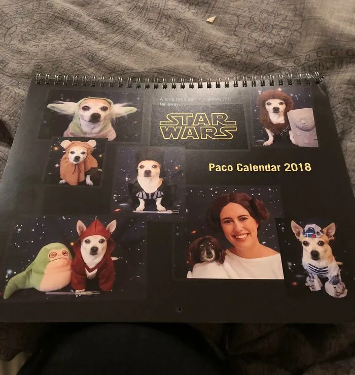 My White Elephant Gift Was My Aunt's Annual Paco Calendar. 12 Months Of Her Favorite Chihuahua, Now The Star Wars Edition