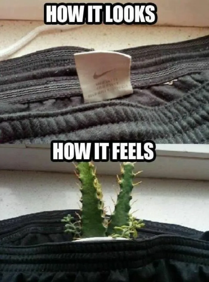 79 Funny Random Memes That Are Somehow Exactly What You Needed Today