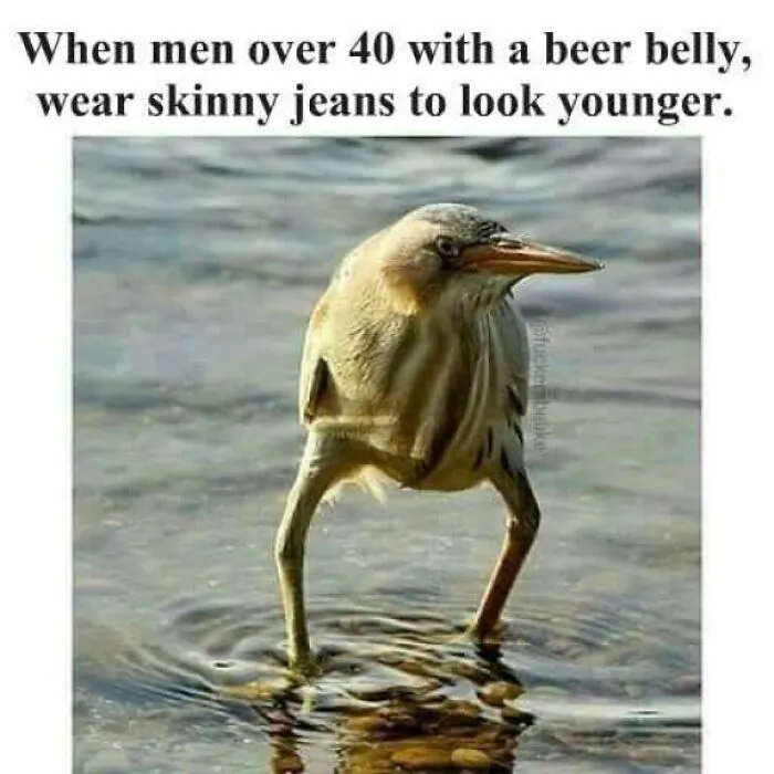 79 Funny Random Memes That Are Somehow Exactly What You Needed Today