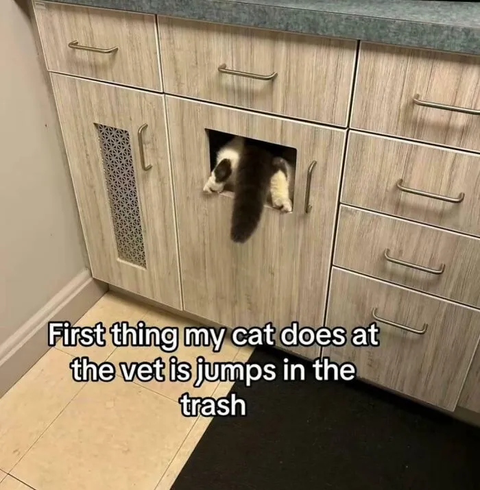 Escape Hatch