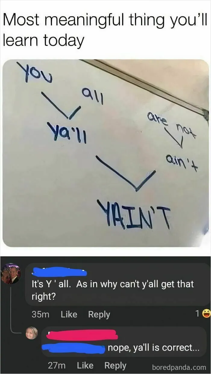 Whiteboard showing the slang term yain't broken down with comments debating the correct spelling, highlighting social media humor.