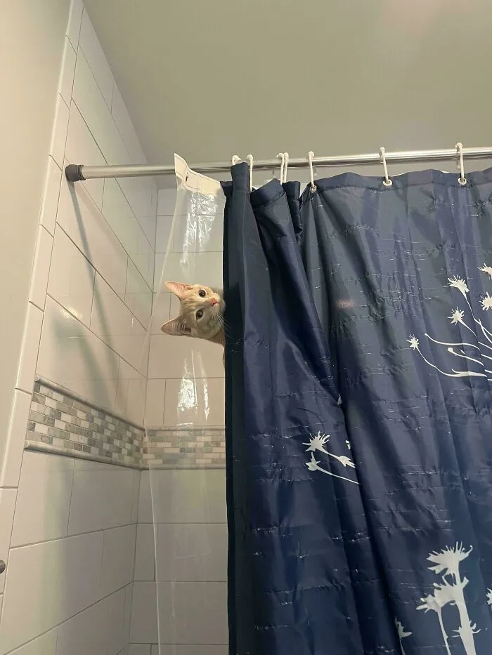 How Do I Fix⦠This