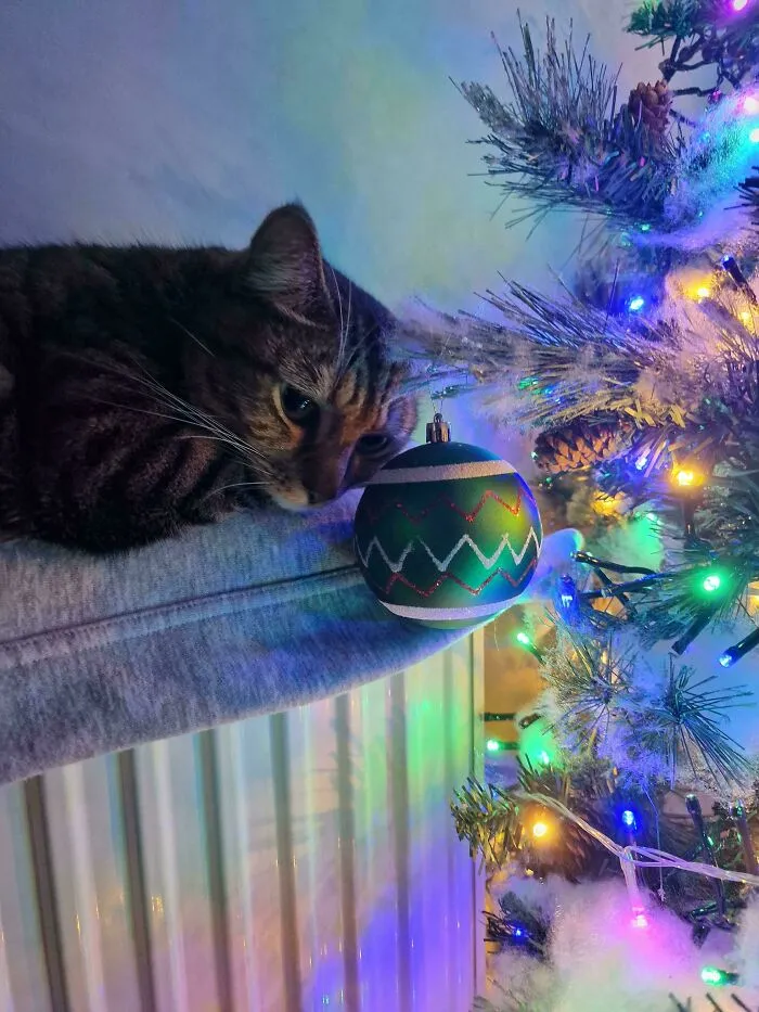 Just Found Out Santa Isn't Real