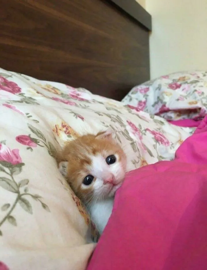 Born And Already Seems Depressed ππ