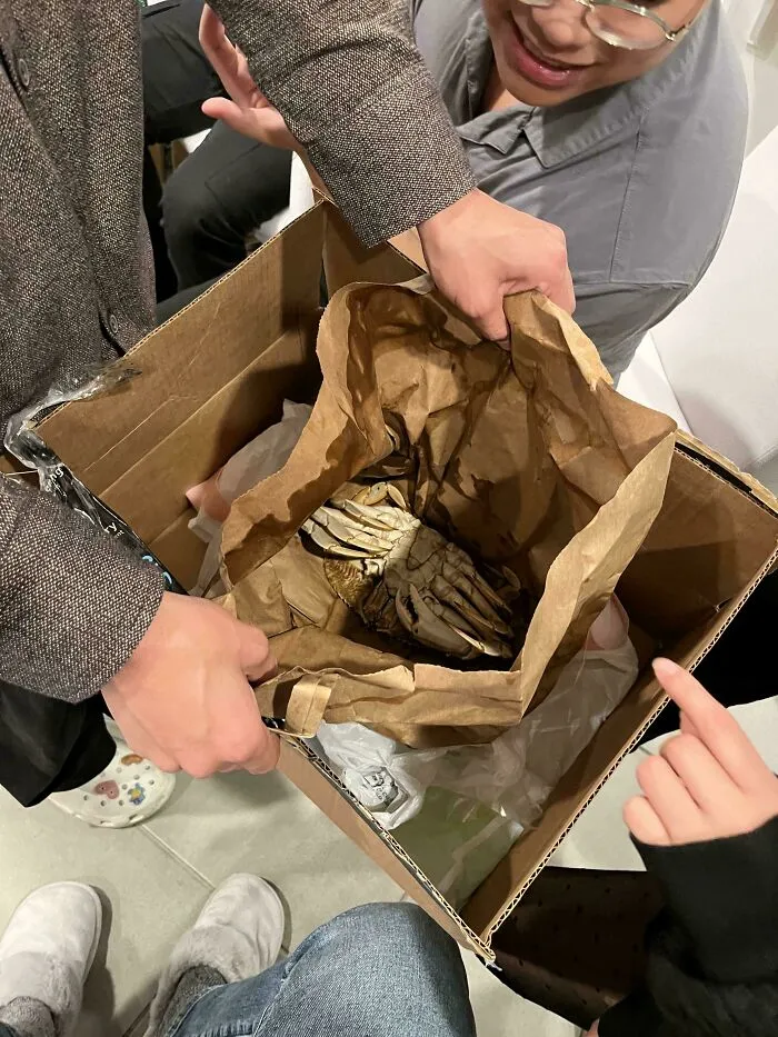 Persona mostrando un cangrejo en bolsa de papel durante un intercambio de regalos de Secret Santa en el trabajo.