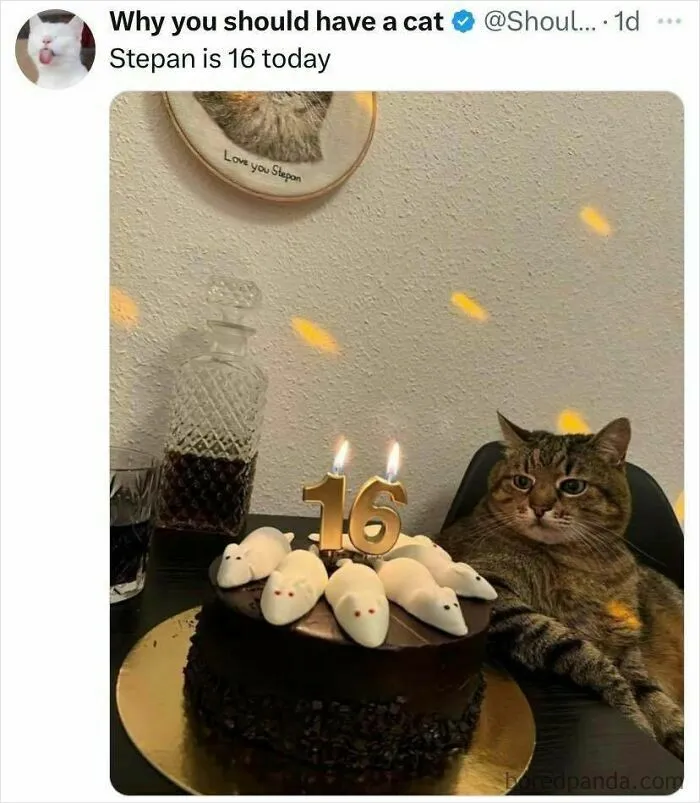 Wholesome-Kind-Memes-Posts
