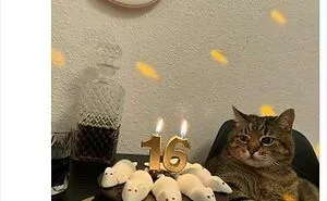 If You Are Having A Bad Day, These 67 Wholesome Memes Might Be Exactly What You Need (New Pics)