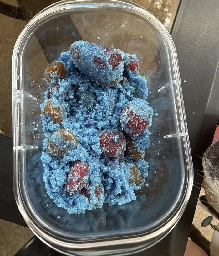 When You Just Cant Decide Which Candy To Choose, <a Style="Display:inline;" Href="https://Www.amazon.com/Poppin-Crunch-Cotton-Gushers-Candies/Dp/B0drc7h5x6?ie=utf8&th=1&linkcode=ll1&tag=bpdog-20&linkid=07022f3be18af7885d8a49979ddacd3e&language=en_us&ref_=as_li_ss_tl" Target="_blank"> <span Style="Font: Inherit; Color: #d74b1f;"> Cotton Candy Gusher Gummies </Span> Is A Trifecta Of Flavor