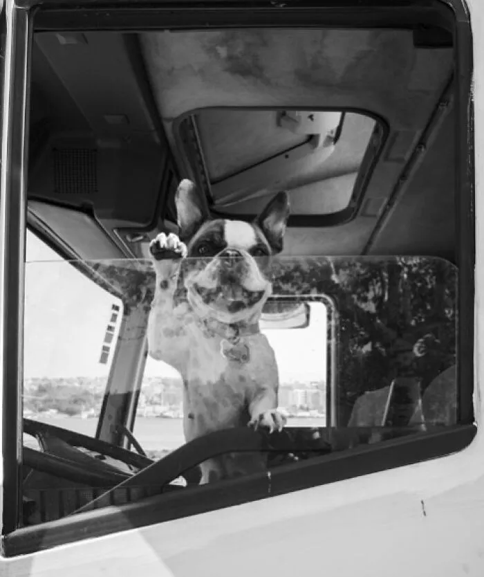 The Marvels Of Daily Life Captured In 45 New Stunning Photos By Mary Crnkovic Pilas