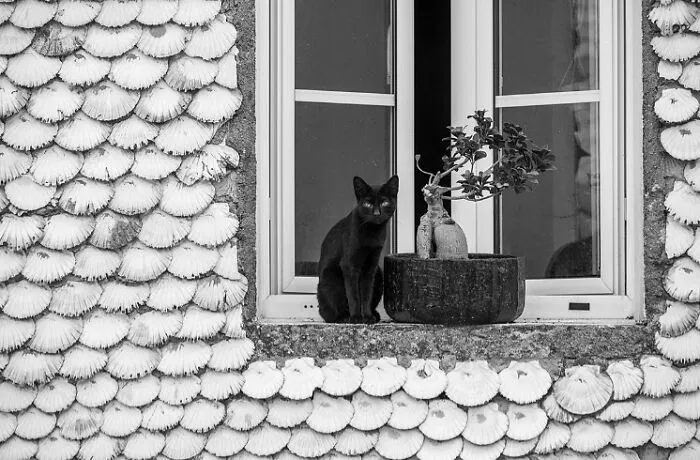 The Marvels Of Daily Life Captured In 45 New Stunning Photos By Mary Crnkovic Pilas