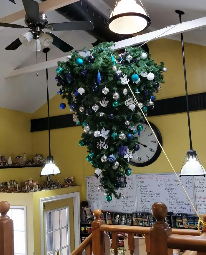 Small Local Coffee Shop Doesn't Have Enough Space For A Christmas Tree So They Tied It To The Ceiling