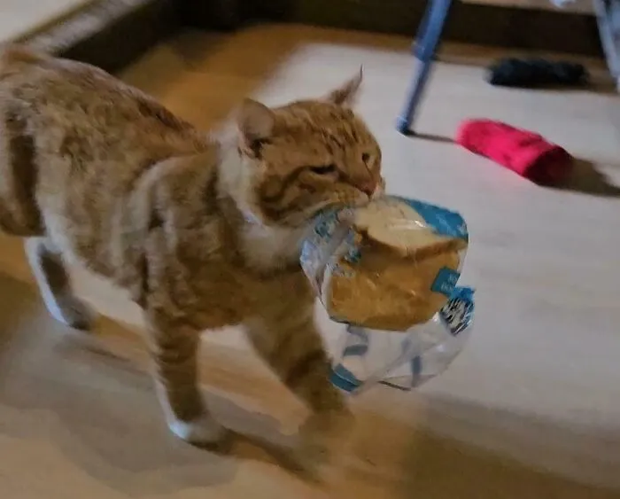 He Stole My Bread