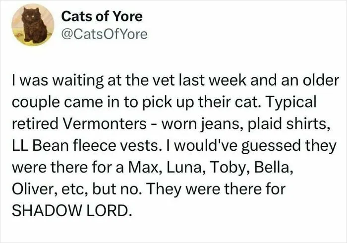 Twitter post about a vet visit, describing an older couple picking up their cat named Shadow Lord, emphasizing cats being weird little guys.