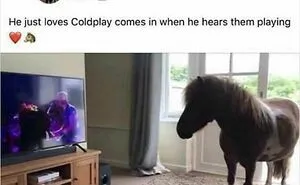 67 Hilariously Random Posts That Made People Laugh Way Harder Than They Should Have