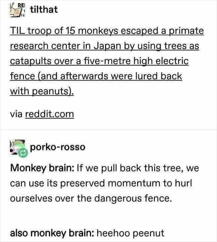 Heehoo Peenut