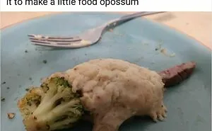 67 Hilariously Random Posts That Made People Laugh Way Harder Than They Should Have