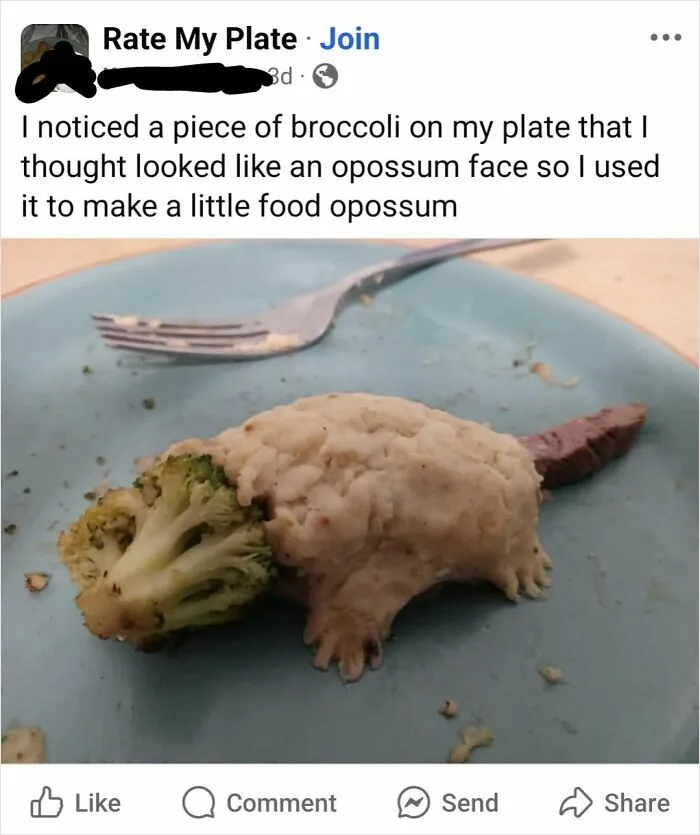Opposum